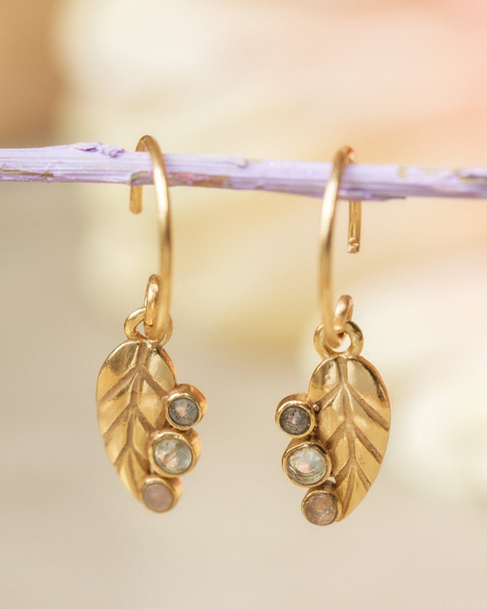 muja juma Nigella Leaf Gold Earrings - Precious Sparkle