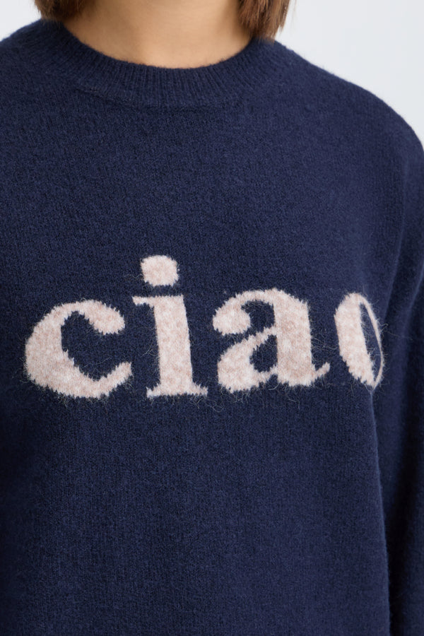 Fransa Frflorence Pullover in Salute Ciao