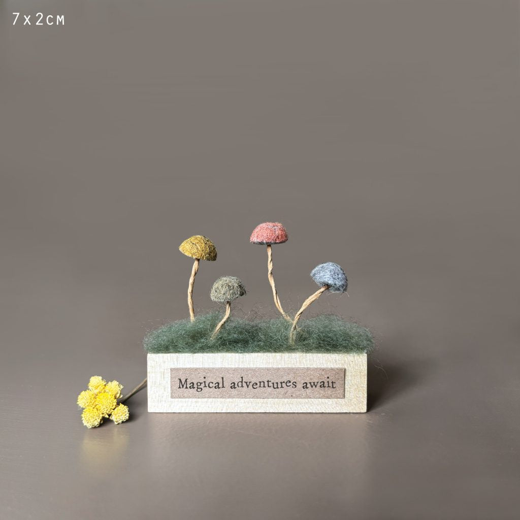 East of India Mushroom block-Magical adventures await