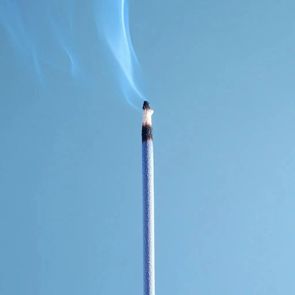 Burn Away the BS Incense - Precious Sparkle