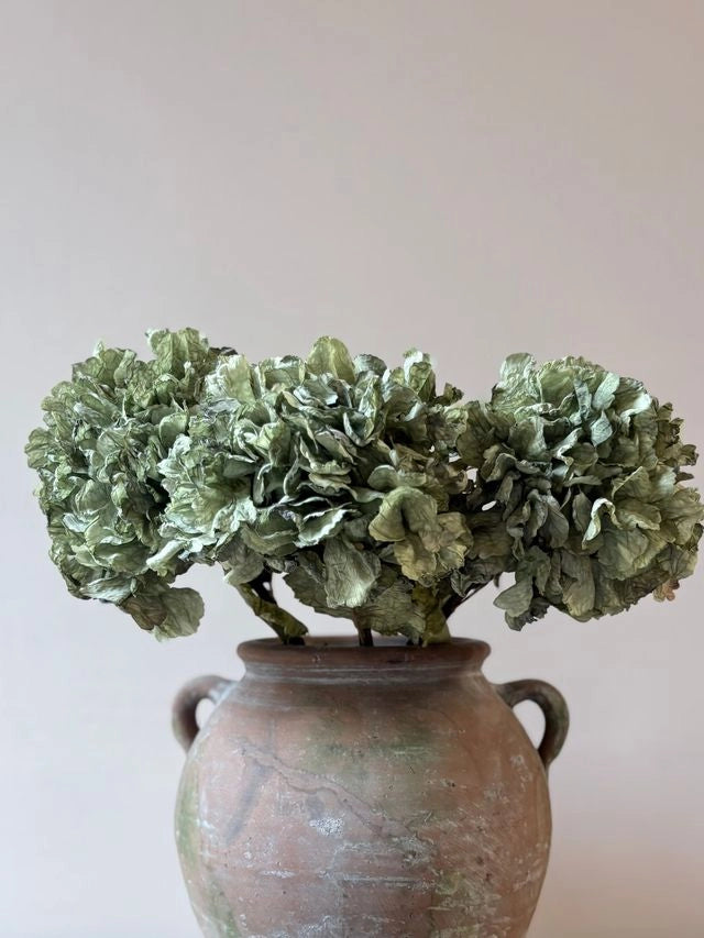Vintage Hydrangea Stem- Green - Precious Sparkle