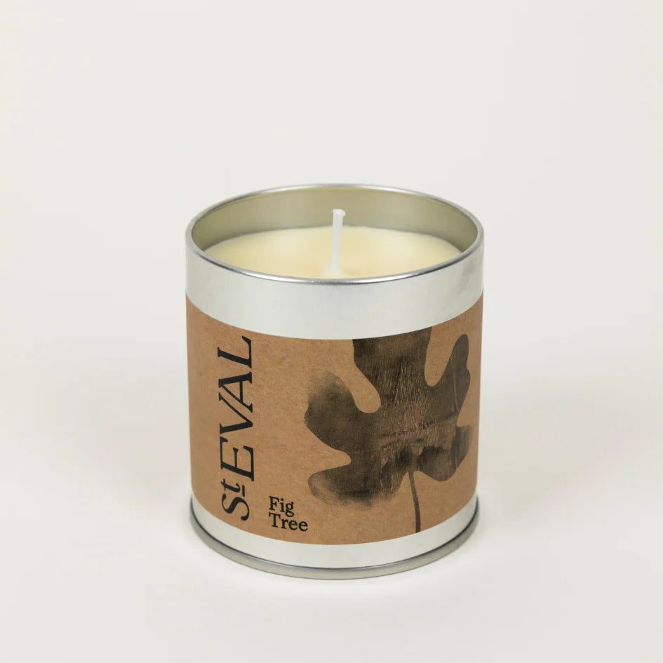 St Eval Fig Tree Candle Tin - Precious Sparkle