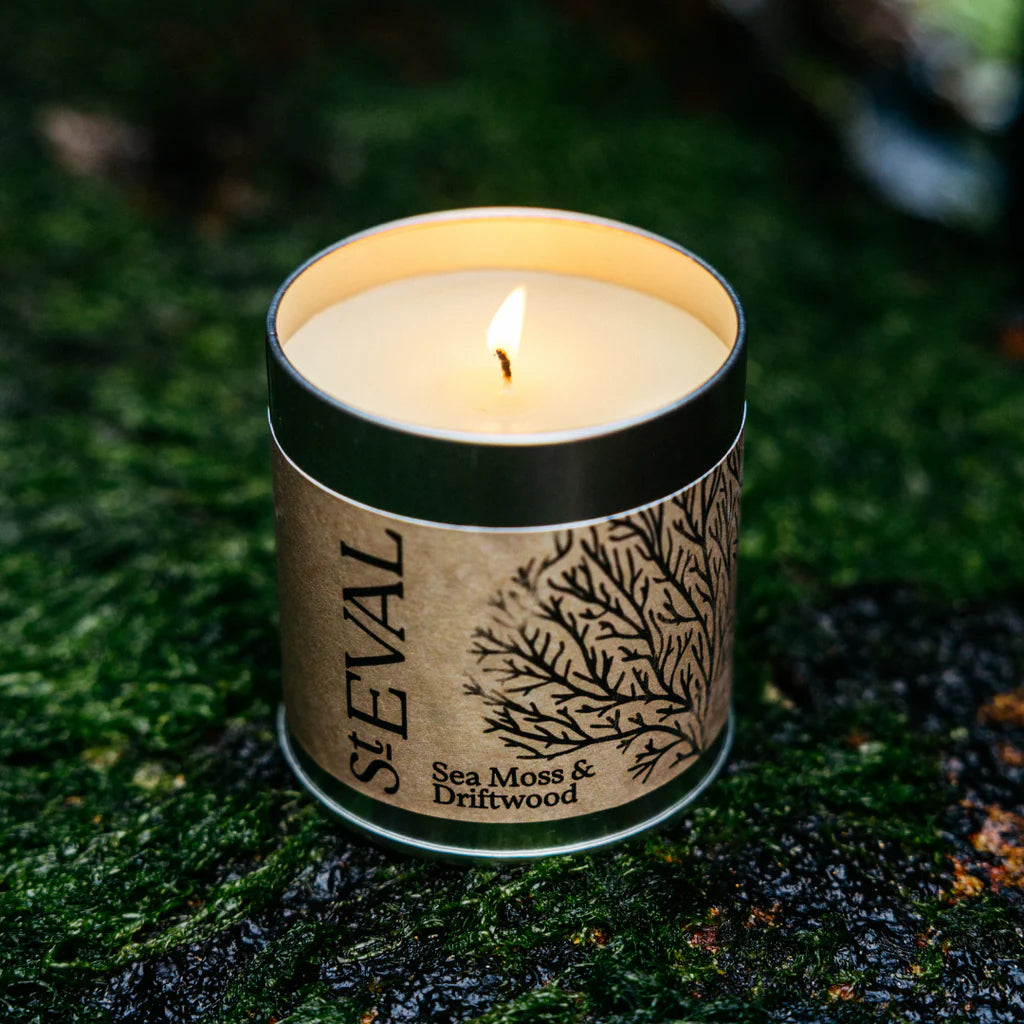 St Eval Sea Moss & Driftwood Candle Tin