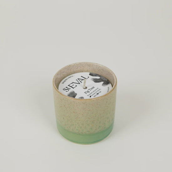 St Eval Fig Tree Candle Sea & Shore Pot
