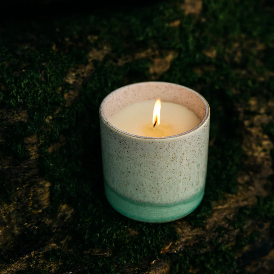 St Eval Fig Tree Candle Sea & Shore Pot
