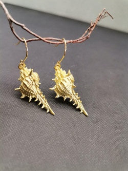 Gold Conch Shell Earrings - Precious Sparkle