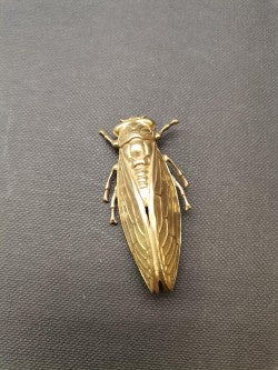 Cicada Brooch Raw Bronze - Precious Sparkle