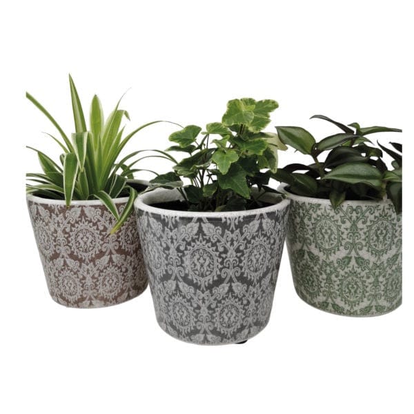 Casa Verde Homewares Terrace & Garden  Plant Pot Delphi