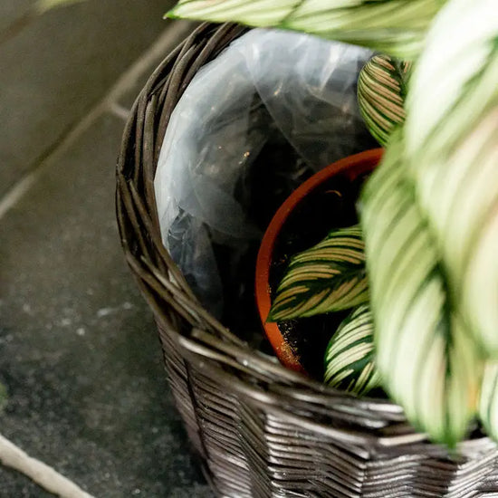 Small Antique Wash Round Lined Wicker Planter Basket - Precious Sparkle