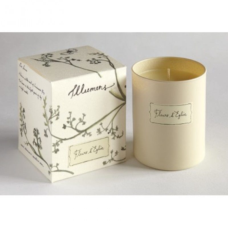 Illumens Homewares Illumens Abbaye Fleur D'Eglise Candle in Glass