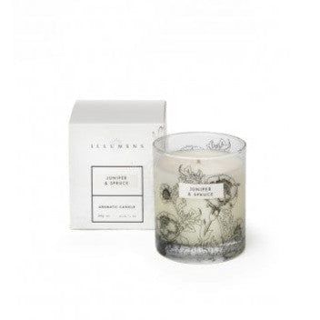 Illumens Homewares Illumens Nutmeg & Cinnamon Candle in Glass