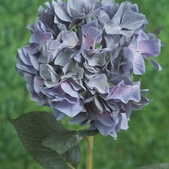 Mezu Silk Flowers Homewares Hydrangea Dusky Blue Short Stem