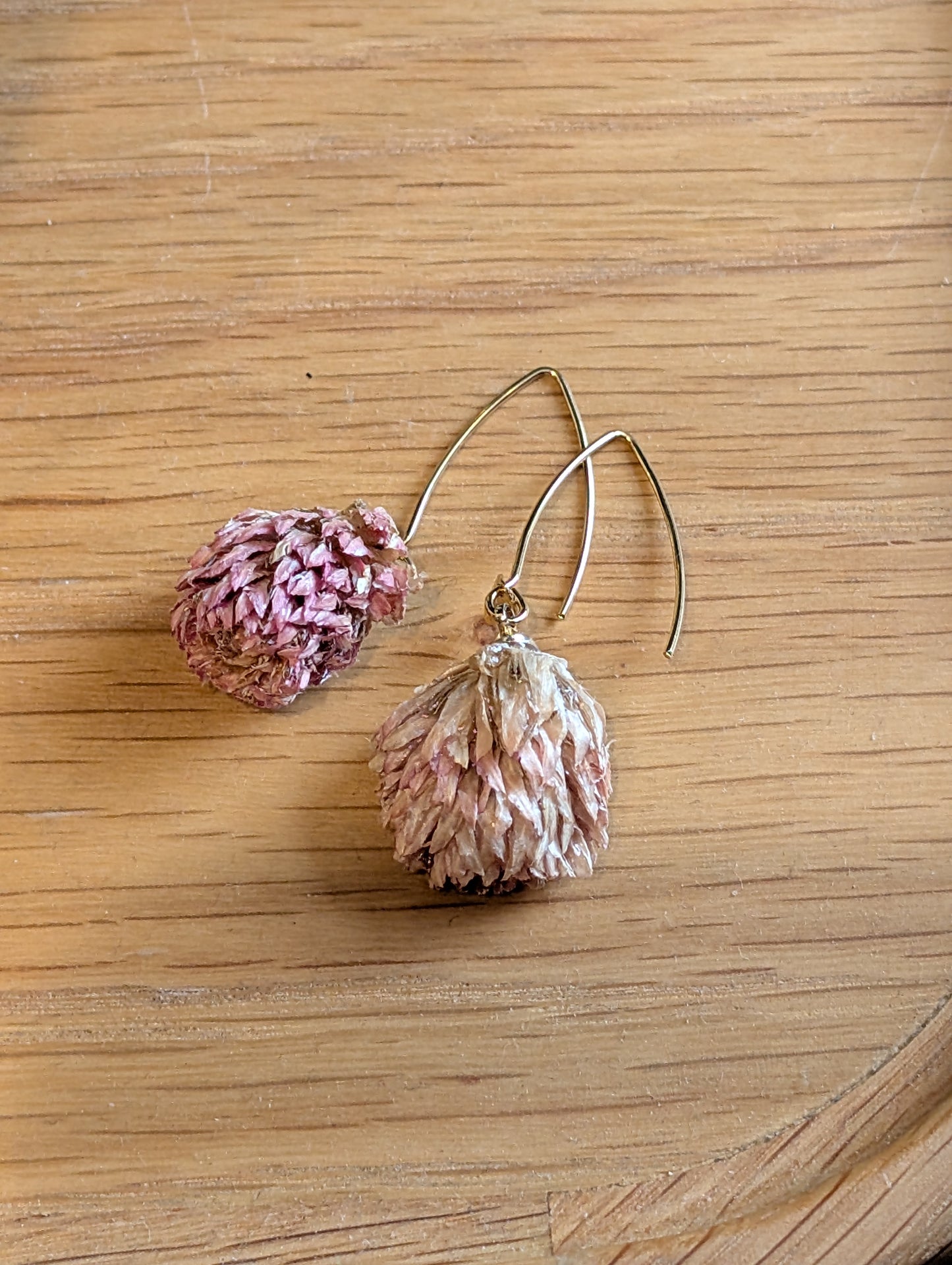 Resin Dried Amaranth Earrings