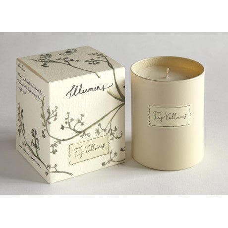 Illumens Homewares Illumens Abbaye Fig Valloires Candle in Glass