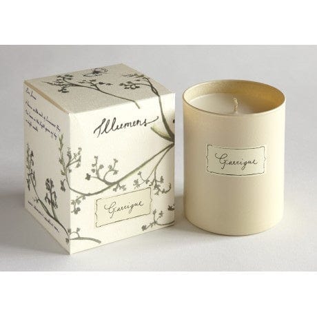 Illumens homewares Illumens Abbaye Garrigue Candle In Glass